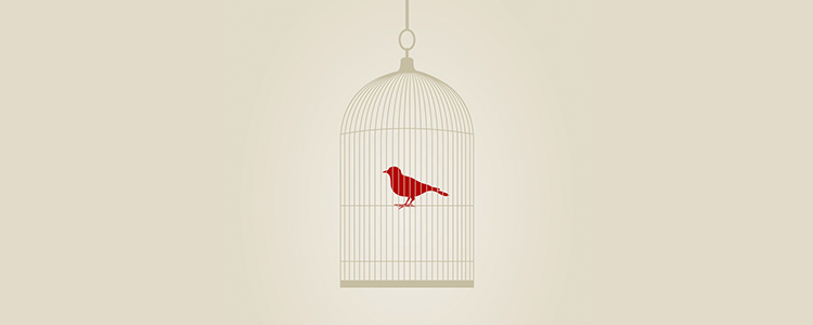 在线轰炸机电话软件